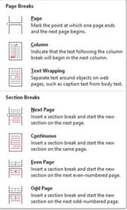 Page and Section Break screenprint from Microsoft Word.