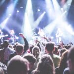 Concert crowd cheering.