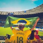 Crowd cheering at a soccer game (visible in the foreground is a fan waving a Brazilian flag and wearing a Robinho jersey).