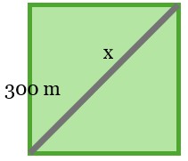 Basic square to represent the park, with a gray diagonal to mark the path your friend walked.