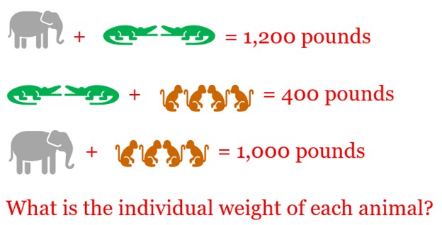 Zoo Riddle graphic