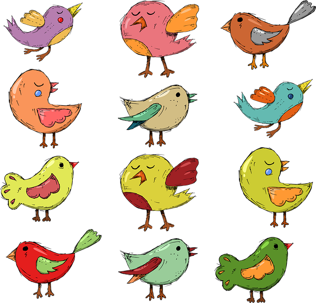 An array of 16 colorful birds.