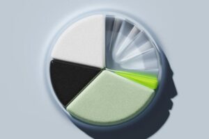 circle cut into many different fractional parts.