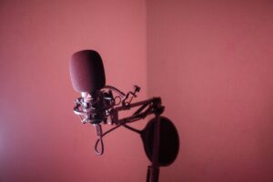 Studio condenser microphone.